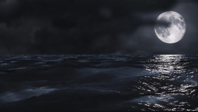 余美颜摩登情书内容是什么，余美颜摩登情书全文免费（美女作家余美颜削发为尼）