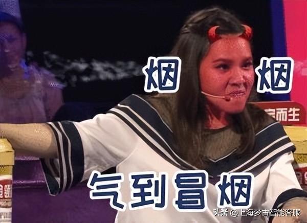 电话客服外包(在线客服)