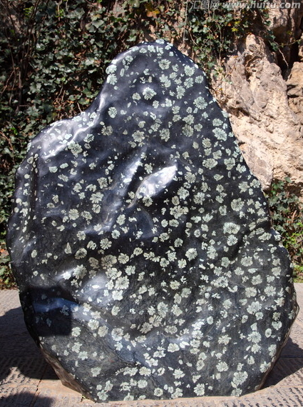 河南在哪里，河南在哪里属于哪个省（关于河南的一些小知识）