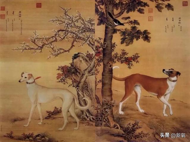 白斩鸡说男生什么意思，“白斩鸡”什么梗（这究竟狠狠戳中了谁的痛点）