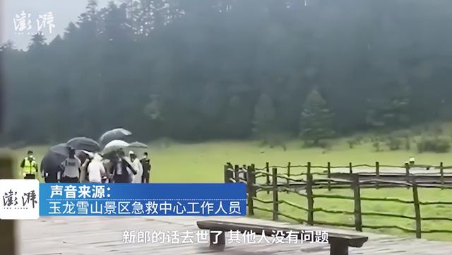 道路千万条是什么梗，道路千万条安全第一条是哪部电影的台词（评论区却成了照妖镜）