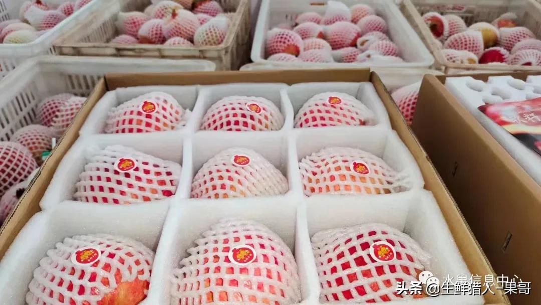 浆果是什么，浆果是什么软件（不同水果的不同包装<浆果篇>）