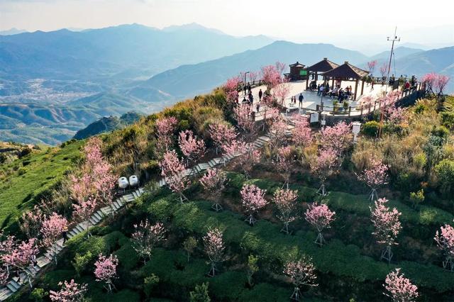 厦门二日游，厦门二日游旅行社（厦门的夏天，就这么玩）