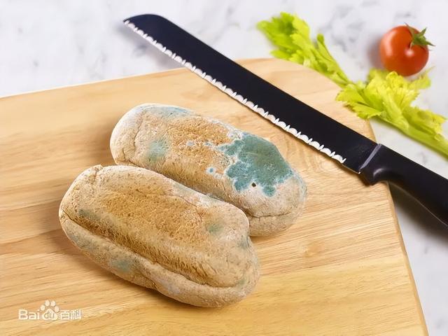 面起子学名是什么，面起子是什么（最大的绊脚石是“蒸馒头”）