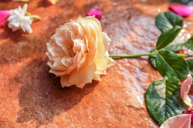 一日三餐四季情话，一日三餐四季情话下联（一屋两人）