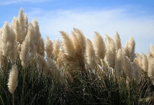 兔年宝宝取名最佳用字，兔年宝宝取名宜用字（适合兔年宝宝的名字）