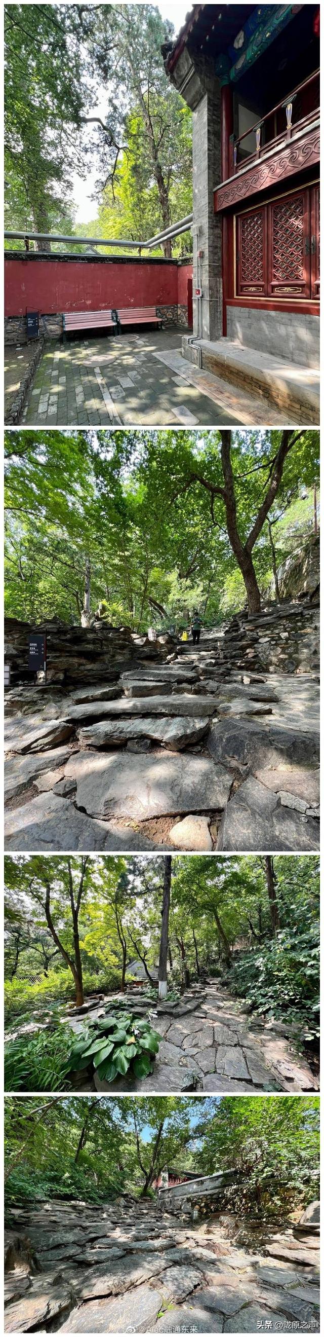 北京海淀区附近寺庙地址，朝礼千寺之677