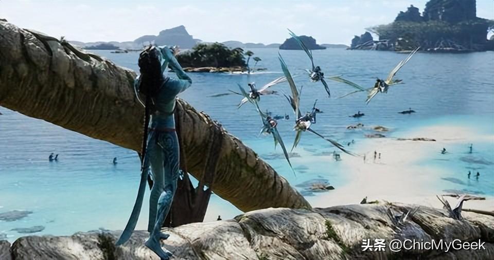 加勒比海盗5彩蛋，加勒比海盗5的彩蛋是什么（水之道》彩蛋比剧情更深奥）