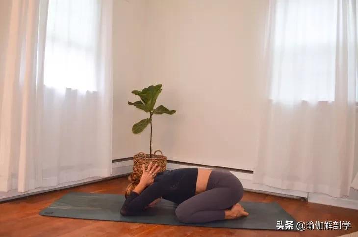 瑜伽基础动作入门，简单的瑜伽基本动作（9个动作带你入门）