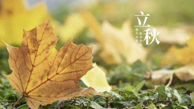 吃什么对腰好，腰酸吃什么好（建议男人常吃3种“健腰菜”）