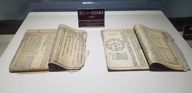 申猴是什么意思，生肖猴为什么又叫申猴（躲出一年好运气”）