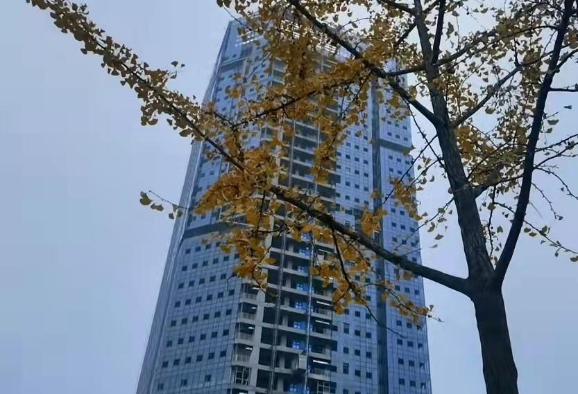 合肥最高楼(合肥国厚大厦有多高)