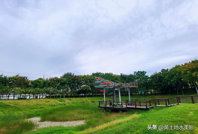 郑州龙湖湿地公园现状分析，河南郑州龙湖湿地公园秋色初露