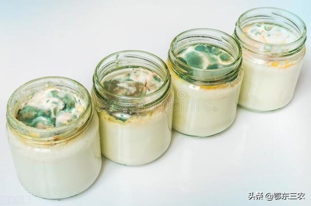 过期牛奶千万别扔11种用途，过期酸奶可以做什么用（一支牛奶胜过两斤化肥）