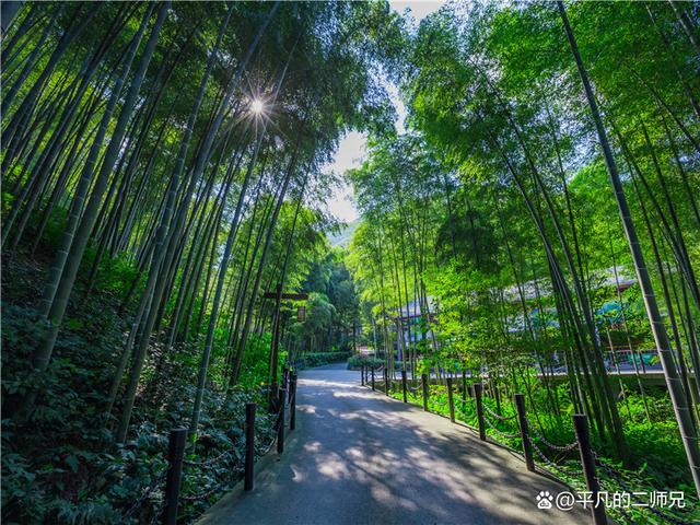 南京值得一日游的八处景点，南京“金陵”周边游最值得去的八个地方