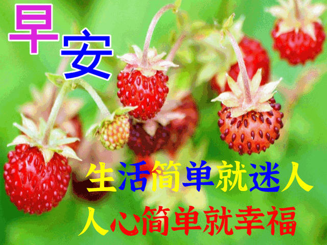 早上好的表情包，2022最火早上好表情包（2022最新早上好表情包）