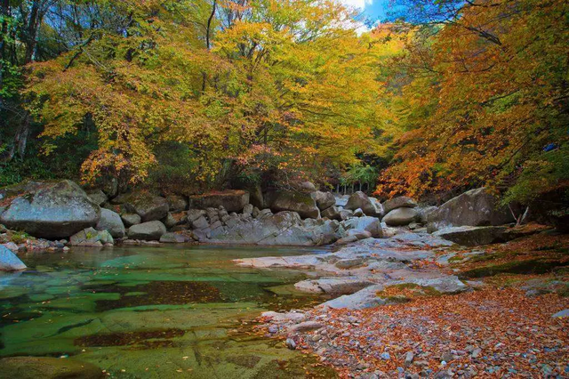 国庆去哪旅游好，国庆节去哪里旅游合适（10个宝藏景点get雅安最美秋色）