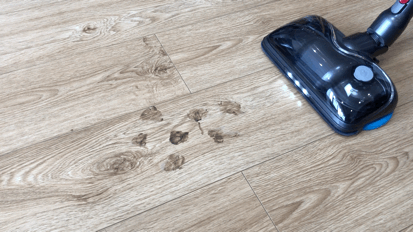 吸尘器品牌排行榜前十名，车载无线吸尘器品牌排行榜前十名（2022年吸尘器满意度排行榜出炉）