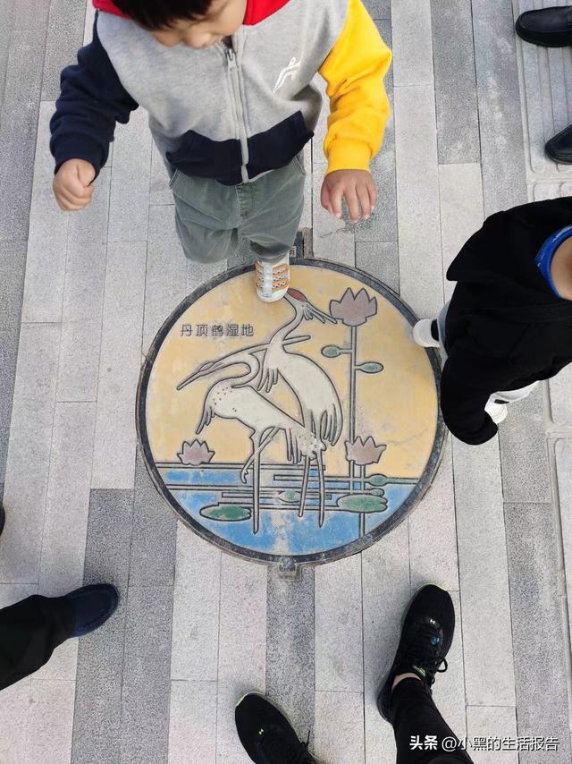 江苏盐城大丰荷兰花海门票，五一就去这里！儿童友好型