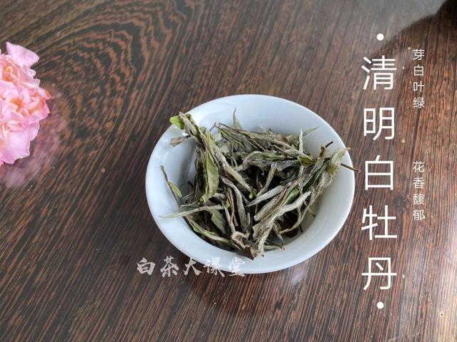 白茶属于哪类茶（从六大茶类角度来看）