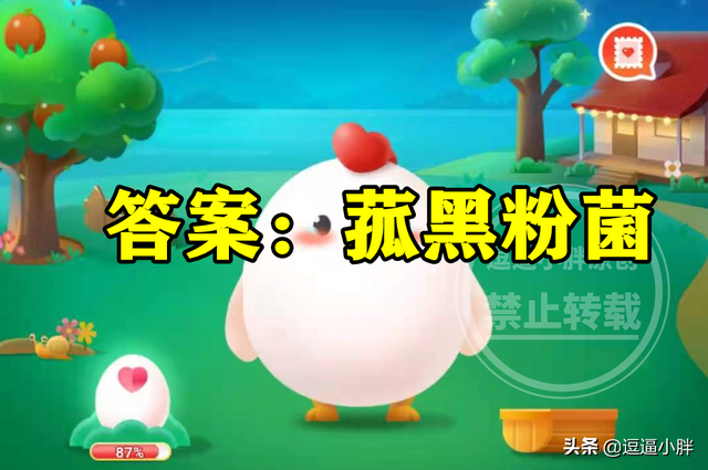 茭白有黑点能吃吗，茭白里面有黑色的小点能吃吗（蚂蚁新村茭白上的小黑点答案）