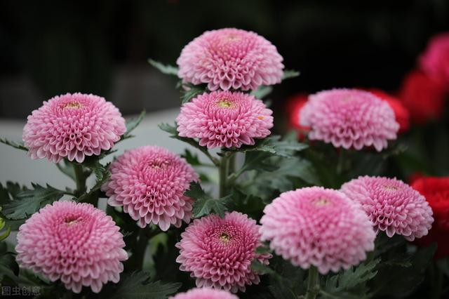 思念变成海网名，思念变成海喜欢汇成河微信昵称（是我一生的想念）