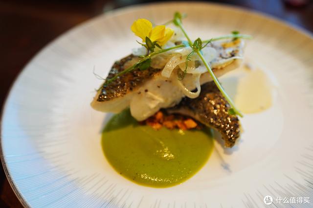 亚特兰蒂斯在哪里，亚特兰蒂斯在哪（“人傻钱多”的三亚亚特兰蒂斯）