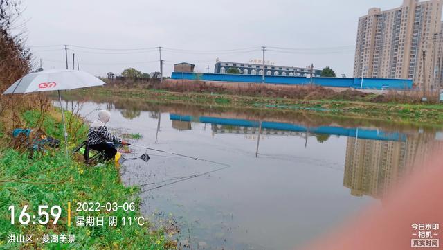 武汉白沙洲人工河，天气下雨鱼情好。坐标武汉市洪山区白沙洲青菱河