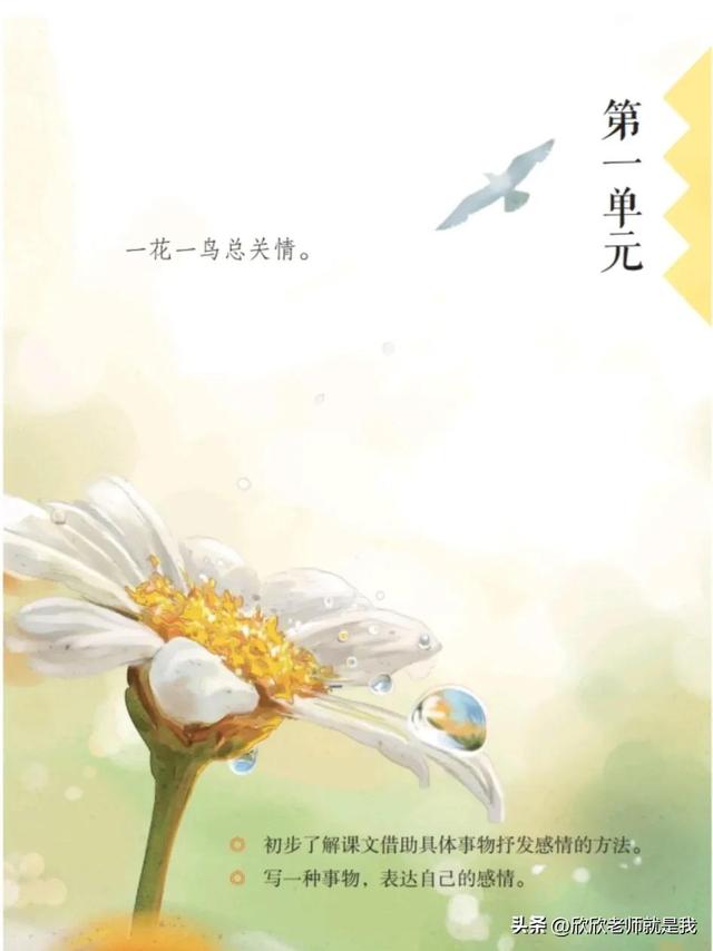 靠近的反义词是什么，明白的反义词是什么（五年级上册语文第一单元考点总结）