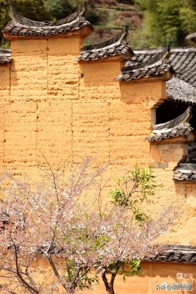 松阳县旅游景点，古韵松阳——江南最后的秘境