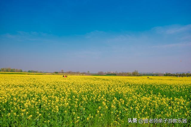 西安汉城湖公园，西安汉城湖景区景点介绍（2023西安旅游值得去的30个景区大全）