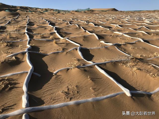 腾格里沙漠攻略，腾格里沙漠旅游攻略（见过腾格里沙漠的一年四季吗）