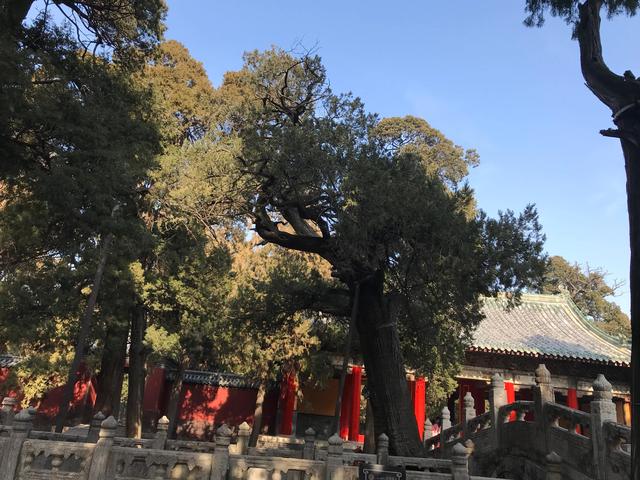 弥高是什么意思，钻之弥坚仰之弥高是什么意思（重游孔庙之—：孔庙的石坊庙门）