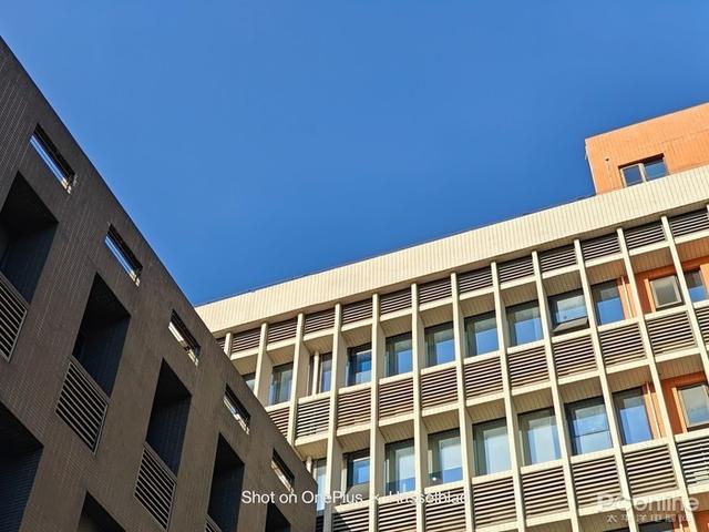 滤镜最好的手机排行，哈苏色彩为何如此讨喜