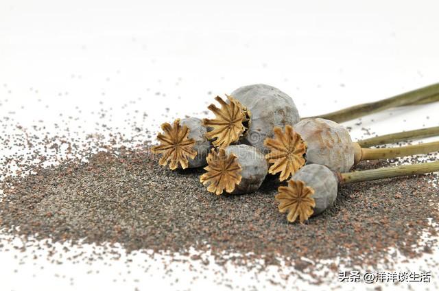 关于鸦片战争的资料，谈谈历史上的鸦片战争