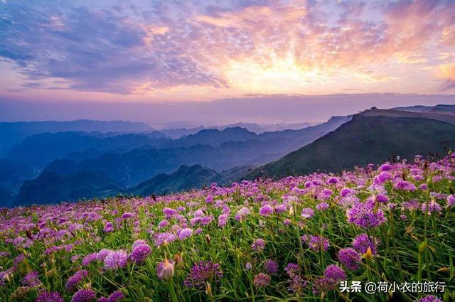 六盘水气候特征，六盘水的气候特点是什么（旅居人均只需1500/月）