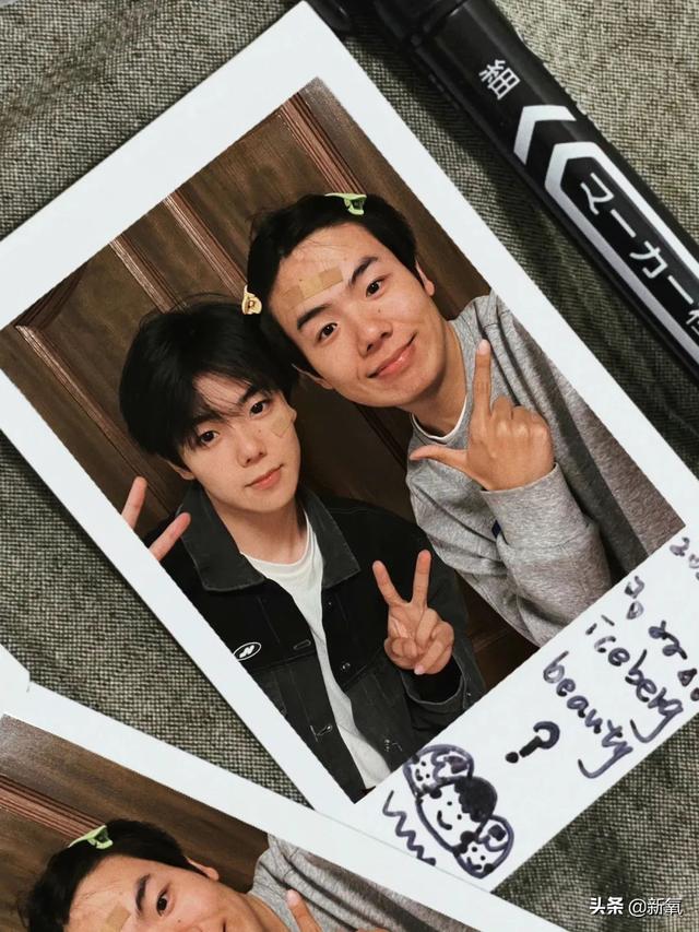 扑棱蛾子是什么梗，扑棱蛾子是什么梗贝斯（听说他换头是靠p的）