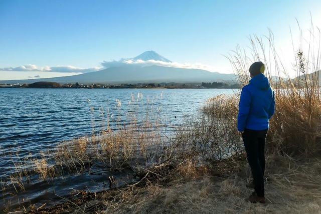 莫言的作品有什么，莫言作品（就读读莫言的《生死疲劳》）