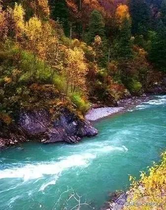 白玫瑰的花语是什么，白玫瑰花语是什么（我足以与你相配）