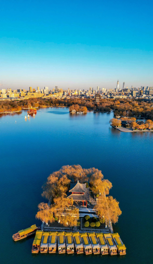 泛舟游湖的散文，枯柳残荷，明湖泛舟