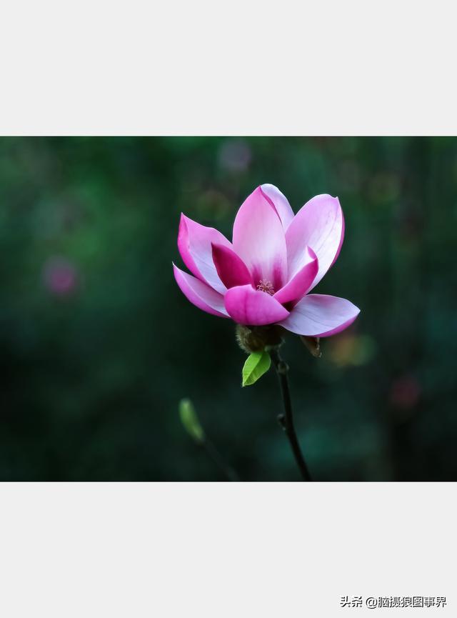 高光质感背景图，高清高级感背景图（若有这6个错误的深色背景照片）