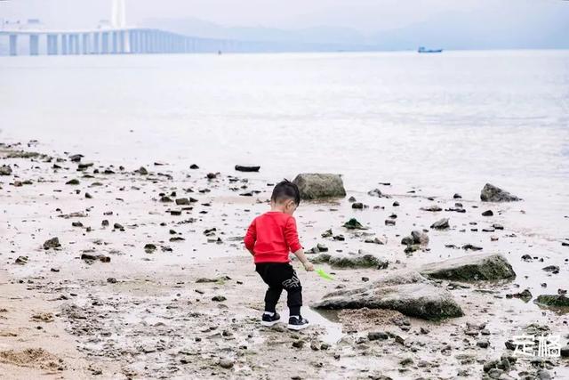 深圳大梅沙好玩吗，为何国庆首日游客仅200多人（深圳10个海边沙滩，超好玩）