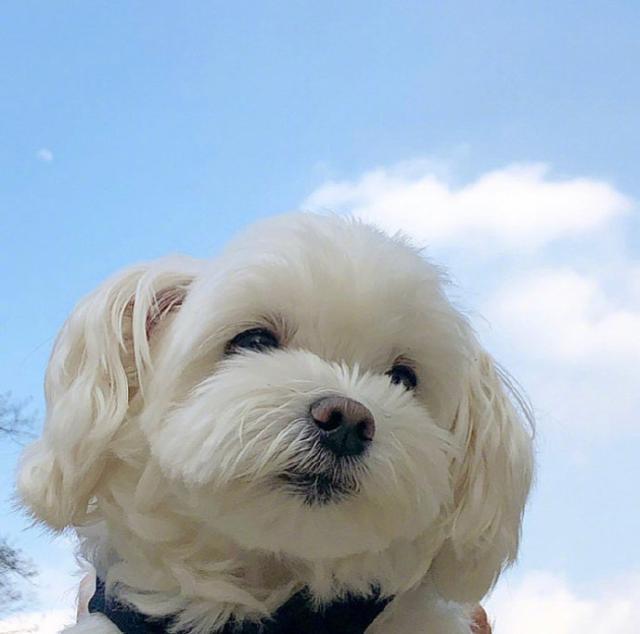 不开心的说说短句，不开心的说说短句男生（心情低落人生哲理短句）