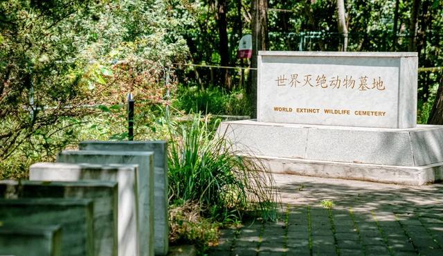 广州越秀公园游玩攻略，广州越秀公园旅游攻略（北京市内最大湿地公园）