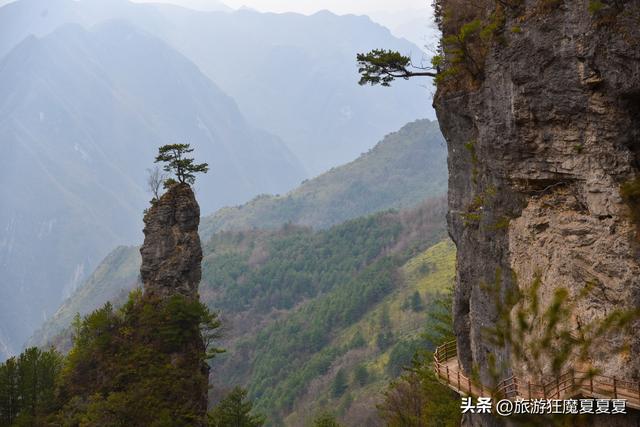 玻璃桥旅游景点在哪里，张家界玻璃桥著名旅游景点（屹立在川东的地质公园）