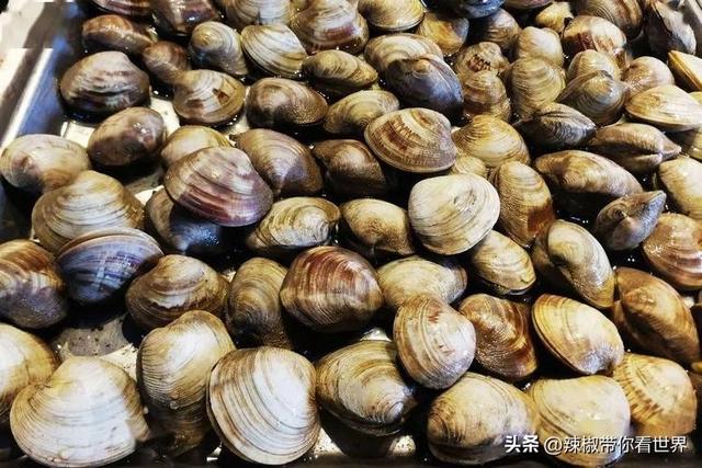 盐城特产介绍，盐城特产（大自然寂静之美造就这里的特色美食）