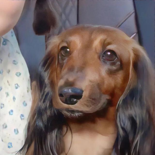 斗图，微信头像，斗图（抖音热门头像）