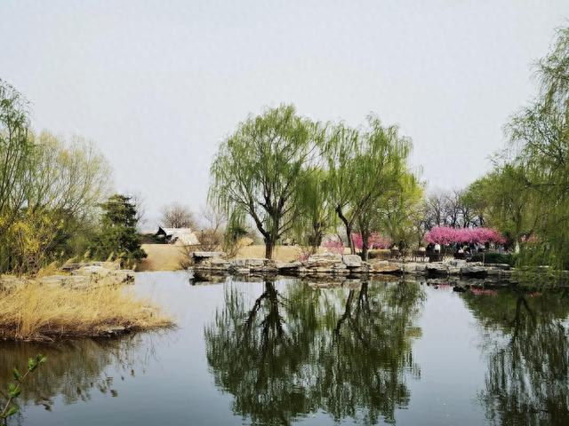 四月春游正当时-打卡北京西山国家森林公园