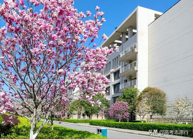 电力大学有哪些学校，电力大学有哪些学校排名（5种类型的高校）