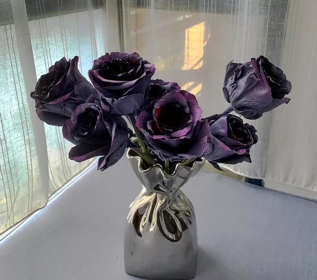 一朵红玫瑰花代表什么意思，红玫瑰代表什么意思（不同颜色玫瑰花的花语）